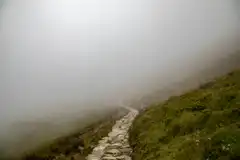 A foggy path on a grassy hill.