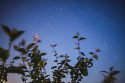 Novalis — Der Dichter als Philosoph