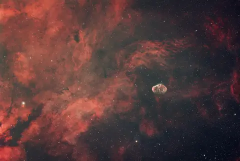 Der Weltenwille — Baustoff und Lebenstrieb des Kosmos