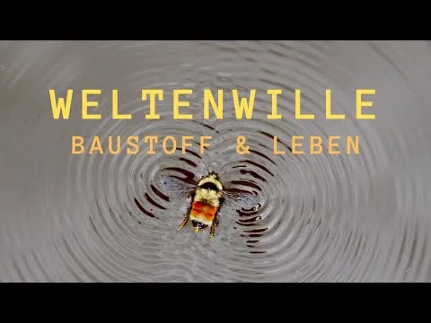 Der Weltenwille — Baustoff und Lebenstrieb des Kosmos