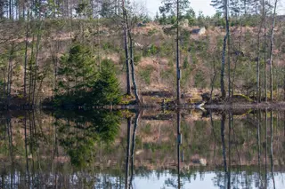 Stille Seeoberfläche spiegelt Baeume und Ufer in perfekter Symmetrie