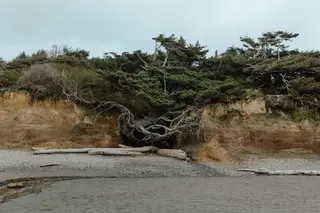Einsamer Baum auf einem kahlen Huegel vor stürmischem Himmel