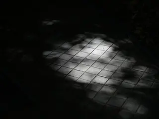 Gefiltertes Sonnenlicht auf dunklen Steinfliesen — Licht und Schatten