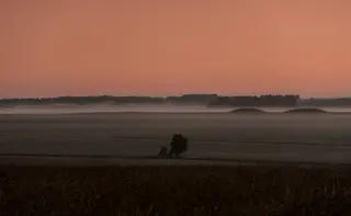 Erster Morgenschein ueber einer nebelverhangenen Landschaft mit einsamer Baumsilhouette