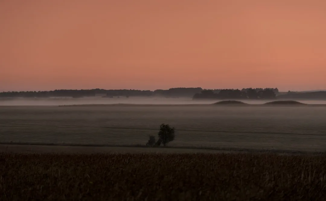 Erster Morgenschein ueber einer nebelverhangenen Landschaft mit einsamer Baumsilhouette
