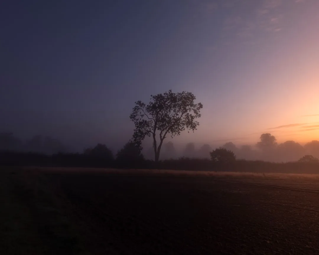 Nebliger Sonnenaufgang ueber einer englischen Landschaft mit einem einzelnen Baum als Silhouette