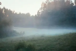 Nebliges Feld in der Morgendämmerung mit kaum sichtbaren Baeumen im Hintergrund