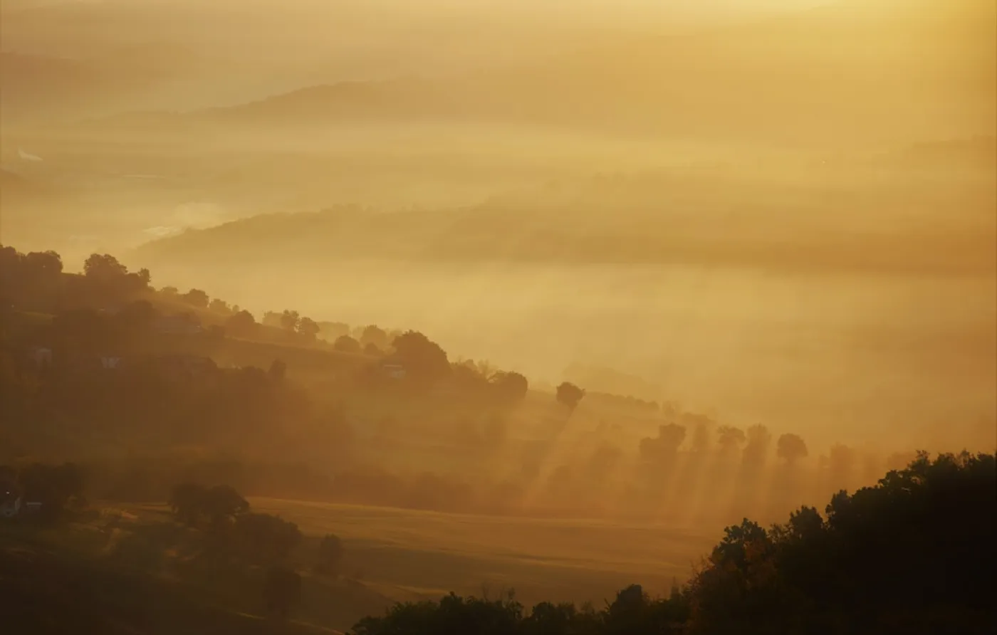 Goldene Landschaft im Morgennebel — Sinnbild für philosophische Klarheit